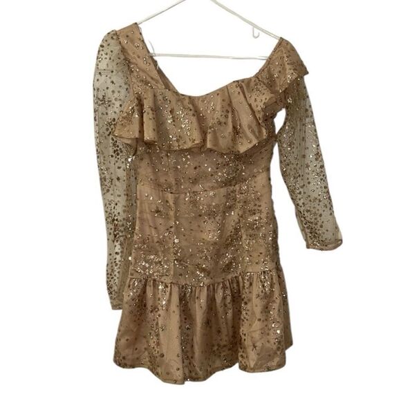 Endless Rose Sequins Mini Gold Nude Mini
Dress(Size XS) - Picture 5 of 9